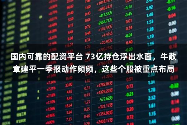 国内可靠的配资平台 73亿持仓浮出水面，牛散章建平一季报动作频频，这些个股被重点布局